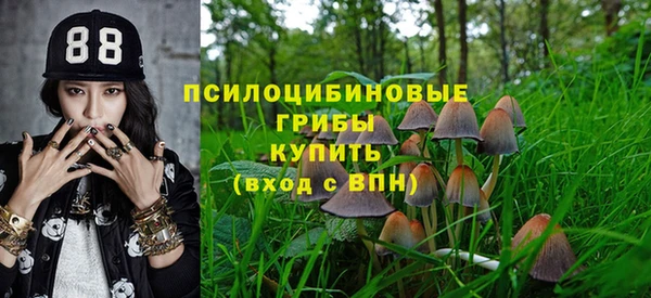 тгк Гусь-Хрустальный