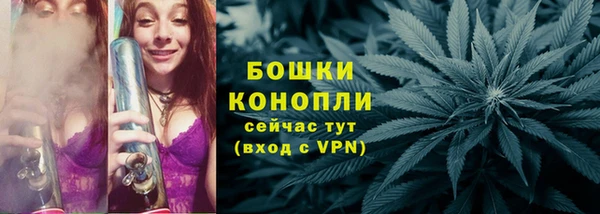 тгк Гусь-Хрустальный