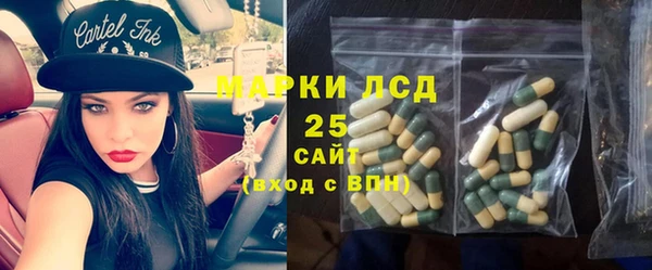 тгк Гусь-Хрустальный