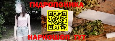 mdpv Заводоуковск