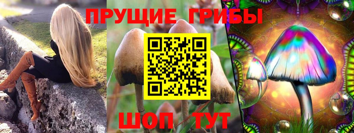 Уссурийск  Галлюциногенные грибы Cubensis  Вход с VPN  Псилоцибиновые грибы мицелий 