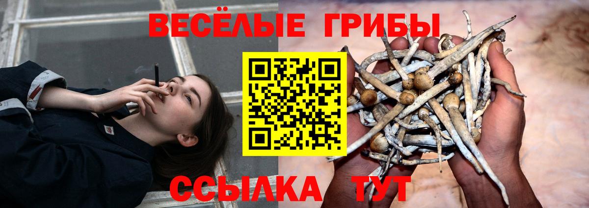 Псилоцибиновые грибы Magic Shrooms Уссурийск
